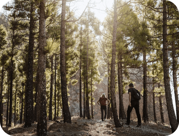 Imagen de dos personas caminando por la Cumbre de Gran Canaria