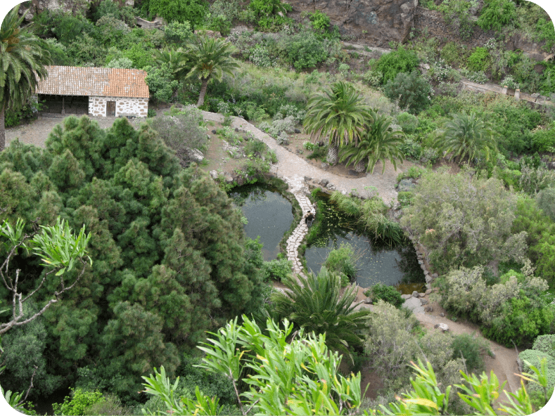 Imagen aérea del Jardín Botánico Canario