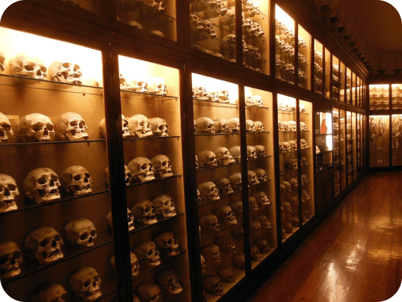 Imagen del interior del Museo Canario